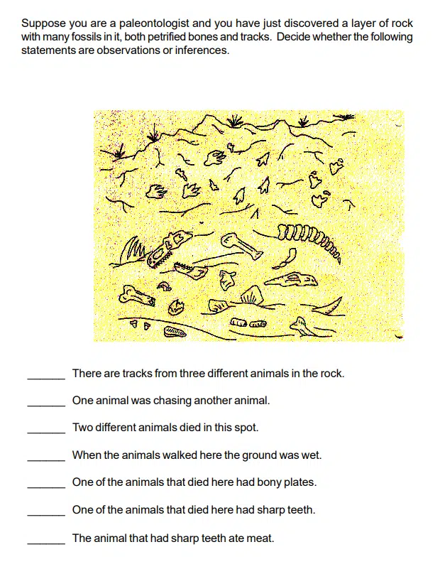 dinosaur scene to review observations and inferences science chemistry