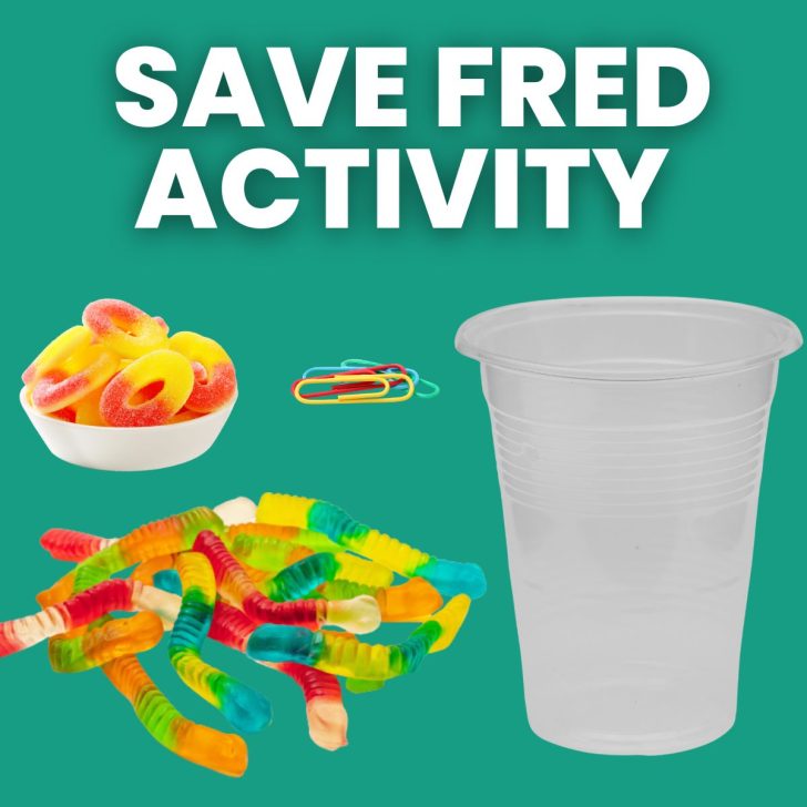 save fred activity supplies: gummy candy, plastic cup, paperclips