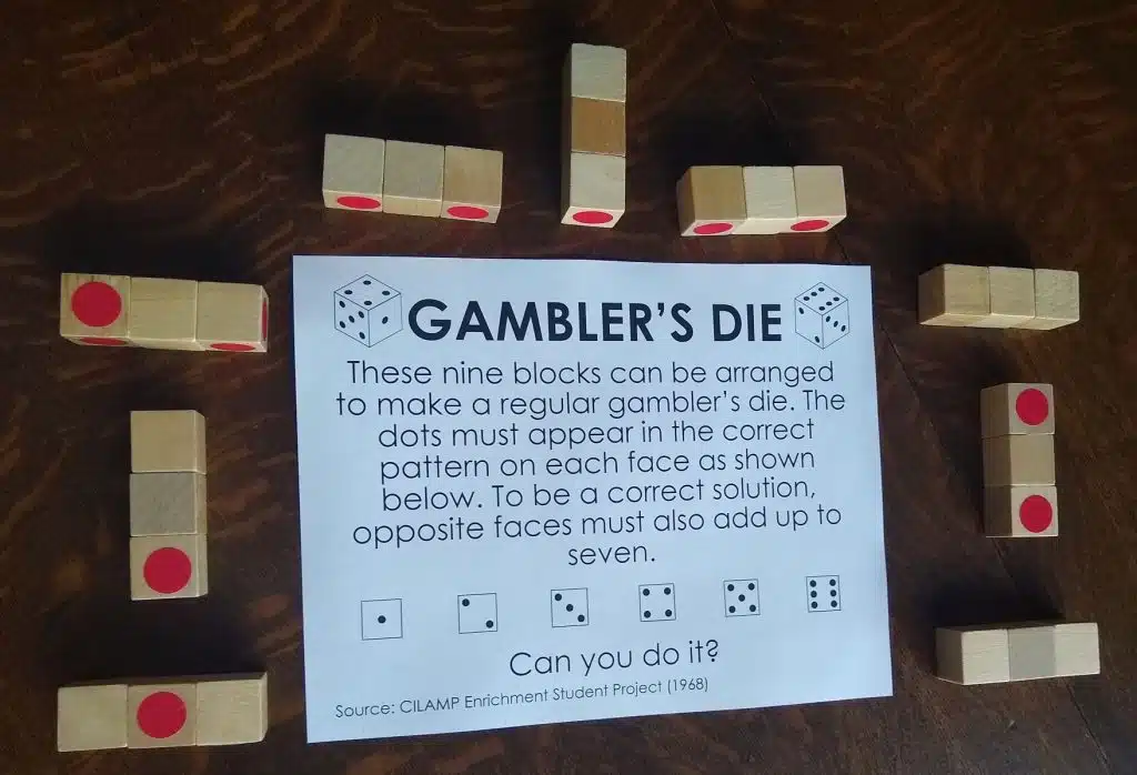 Gambler's Die Puzzle