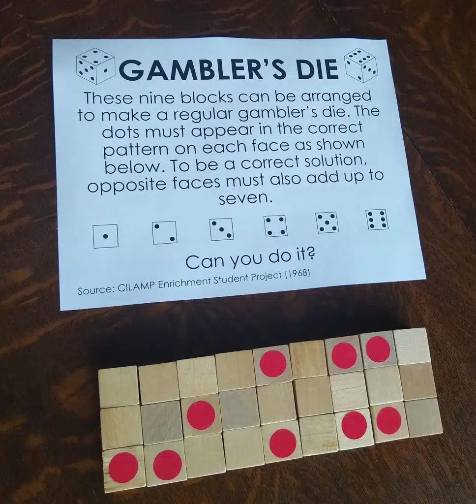 Gambler's Die Puzzle