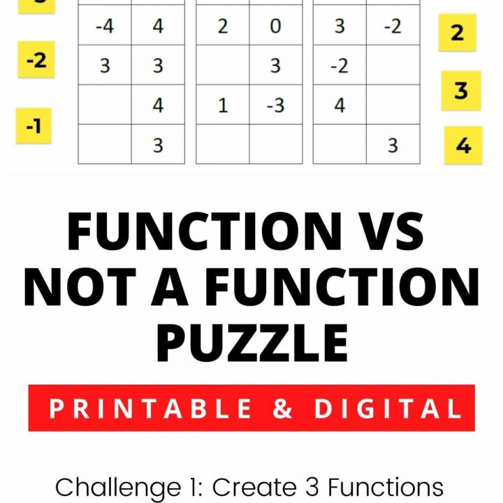Function vs not a function puzzle.