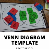 Venn Diagram Template with Guess My Rule Cards.