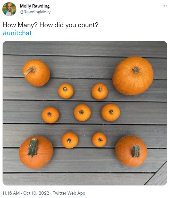 pumpkin image with prompt: how many? how did you count? 