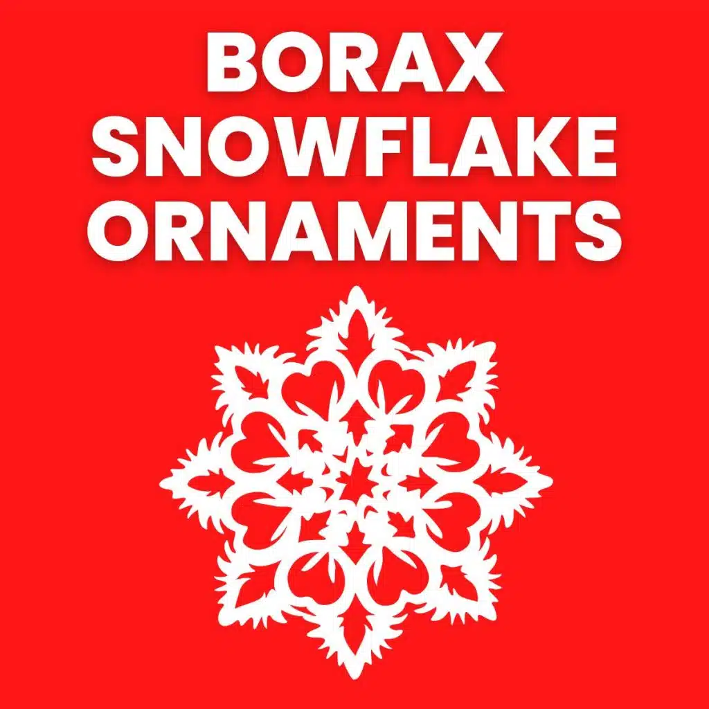 borax snowflake ornaments