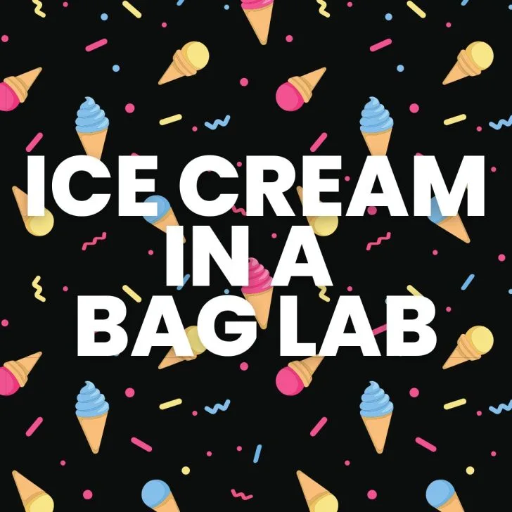 ice cream in a bag lab