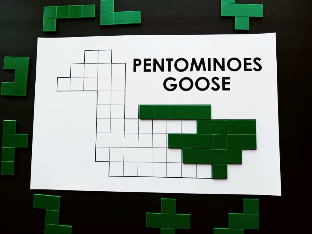 partially solved pentominoes goose puzzle 