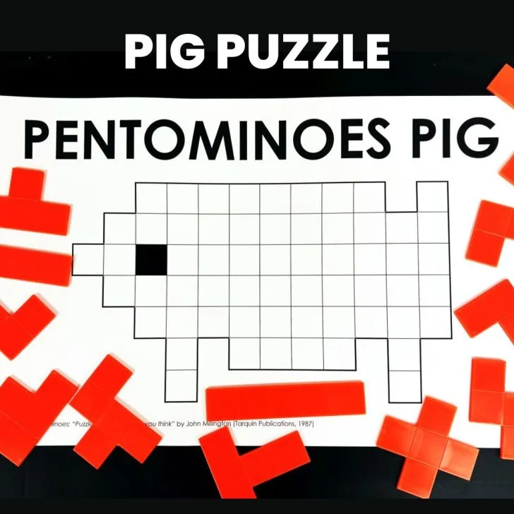 pentomino pig puzzle. 