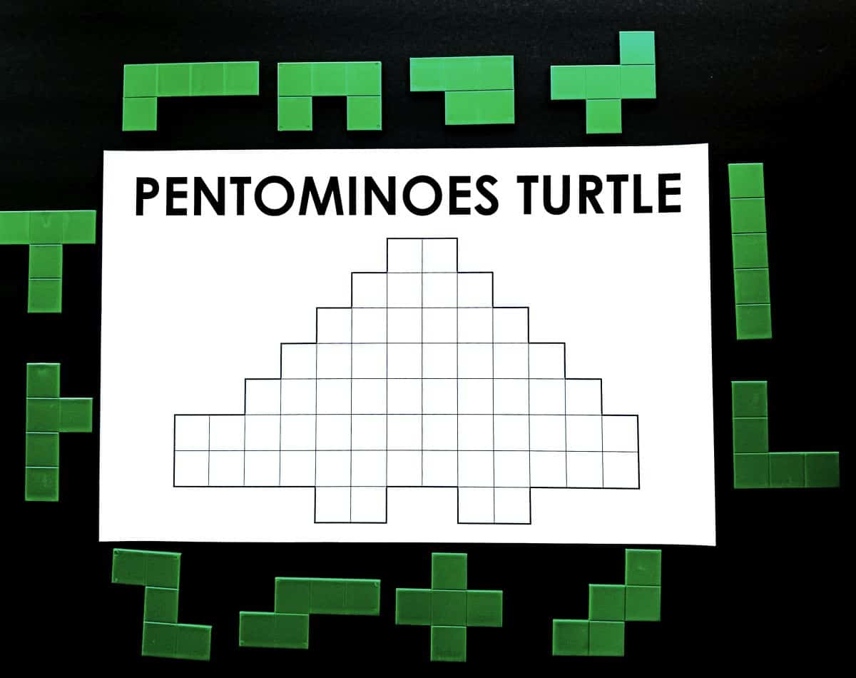 Turtle Math Puzzle Pentominoes Turtle Puzzle | Math = Love