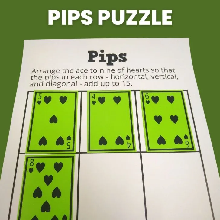pips magic square puzzle. 