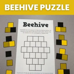 beehive puzzle