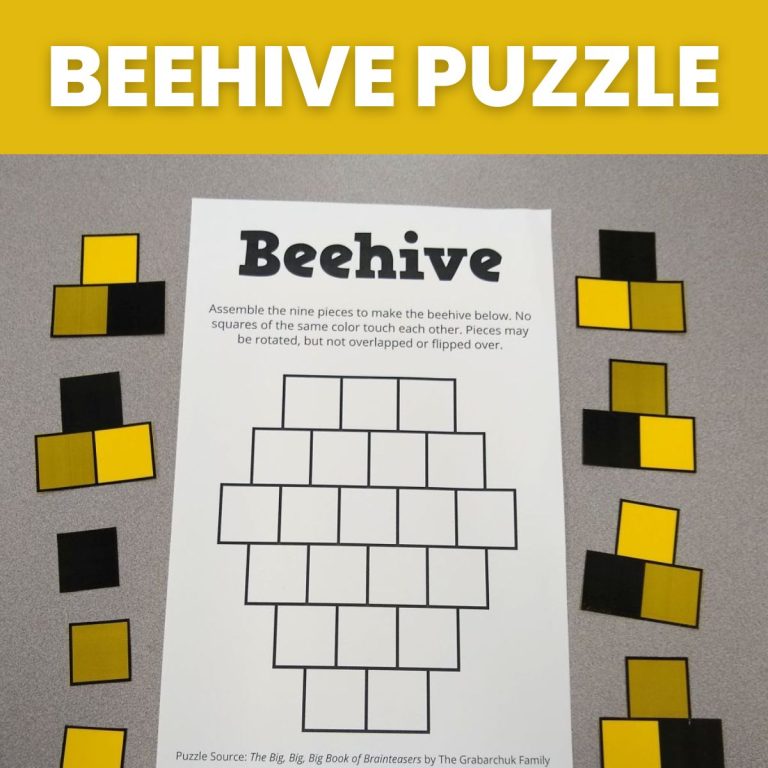 beehive puzzle