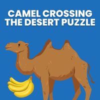 camel crossing the desert puzzle