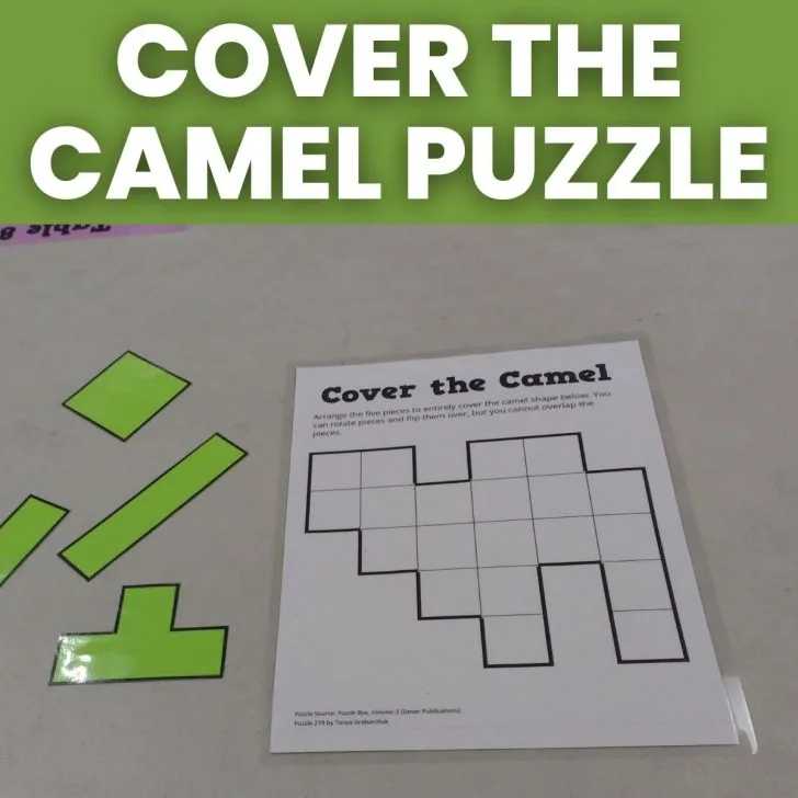 cover the camel puzzle