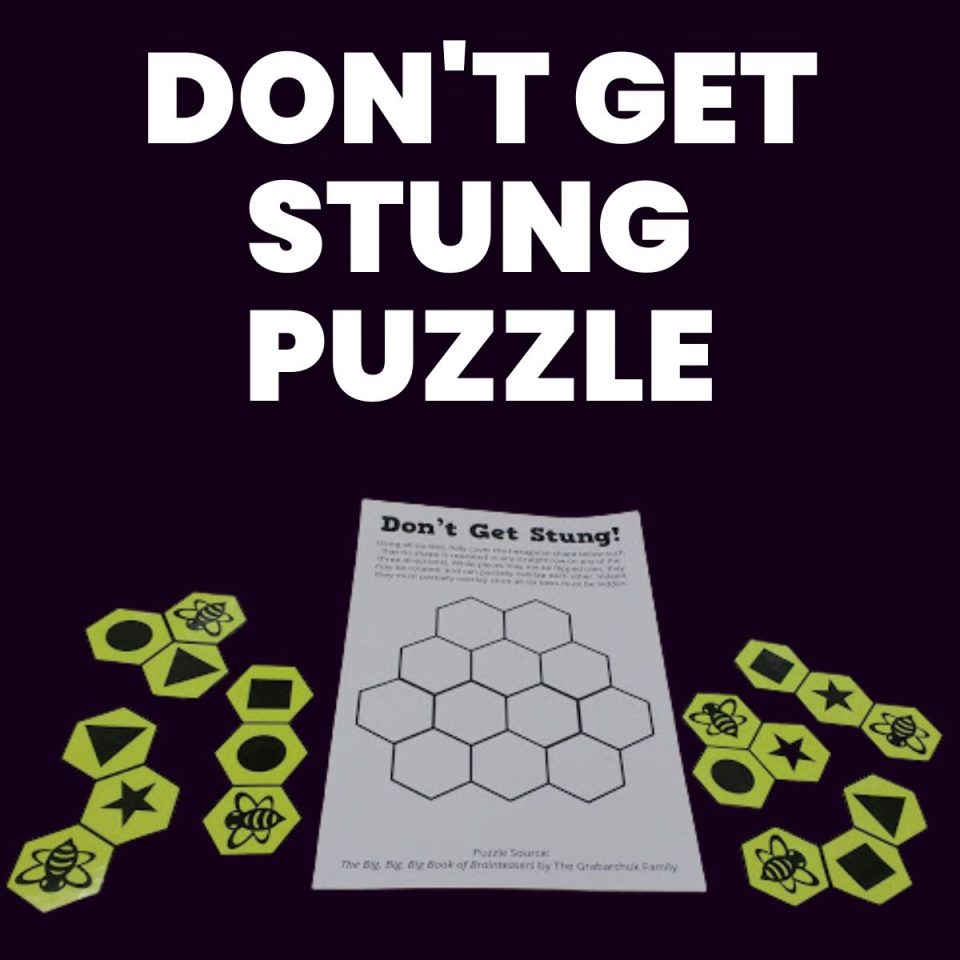 Don't Get Stung Puzzle | Math = Love