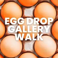 egg drop gallery walk activity