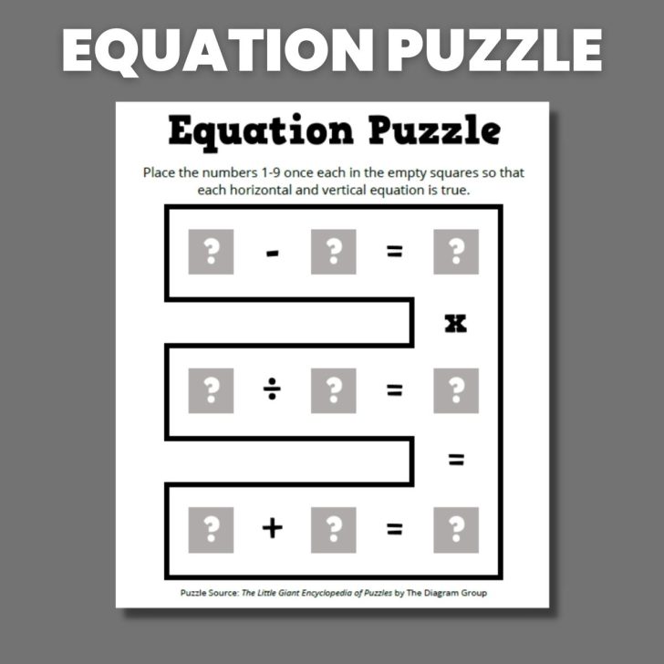 equation puzzle