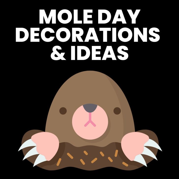 mole day decorations and ideas