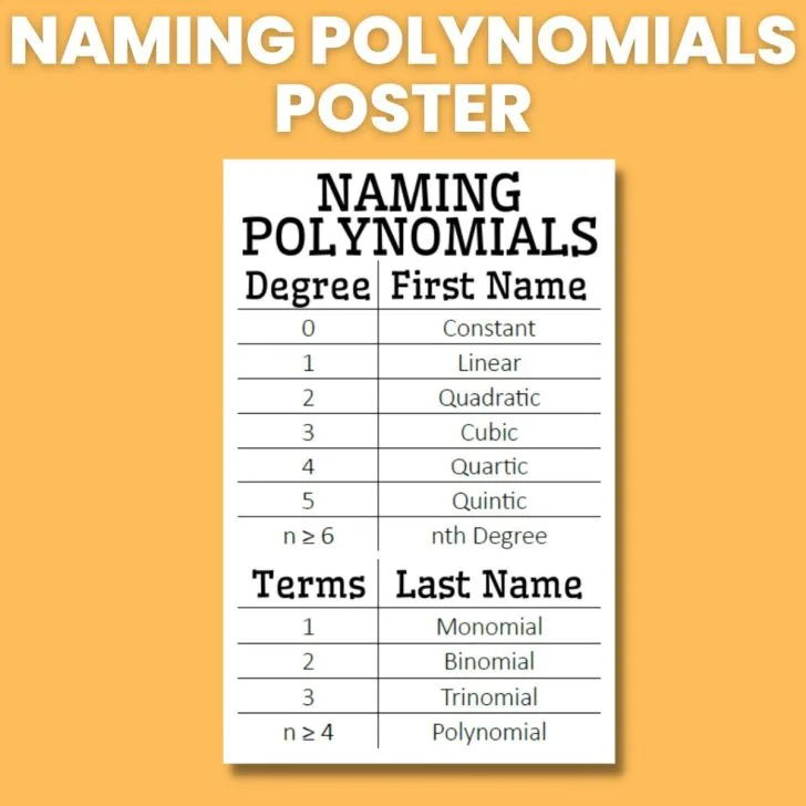 naming polynomials poster