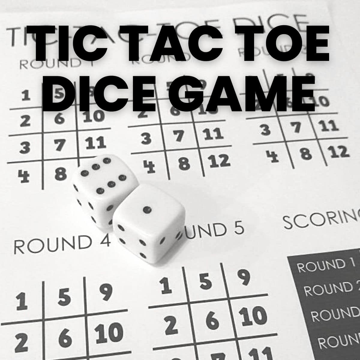 Blank Dice Game Sheet