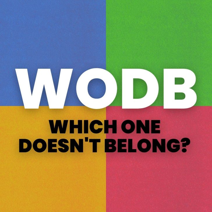 four color background with text "WODB: which one doesn't belong" 