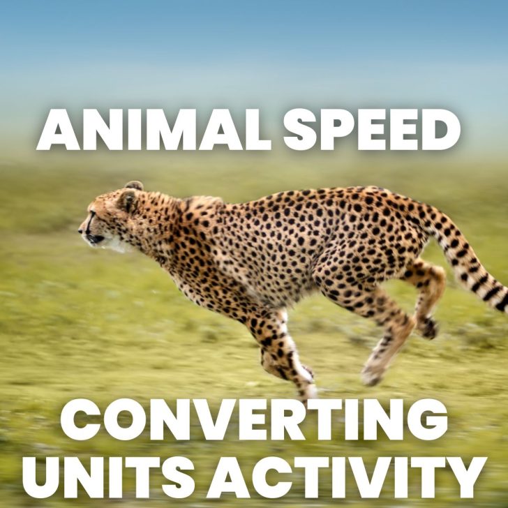 photograph of cheetah running with text "animal speed converting units activity" 