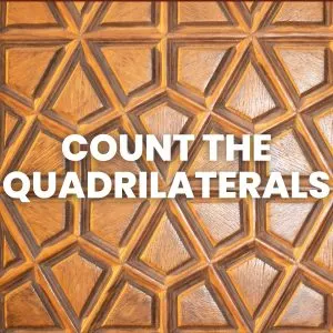 geometric background with text "count the quadrilaterals" 