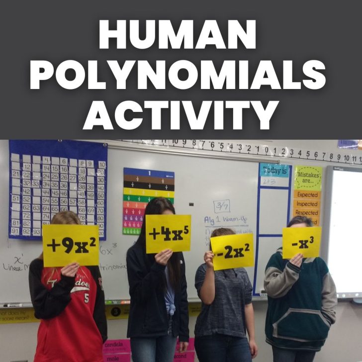 students holding up pieces of paper with algebraic expressions on them to form a polynomial with text "human polynomials activity" 