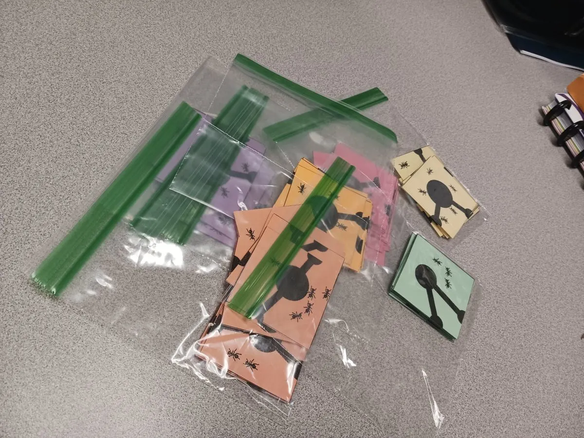 tas ziplock diisi dengan potongan teka-teki peternakan semut yang dicetak dengan warna kertas yang tidak berbeda 