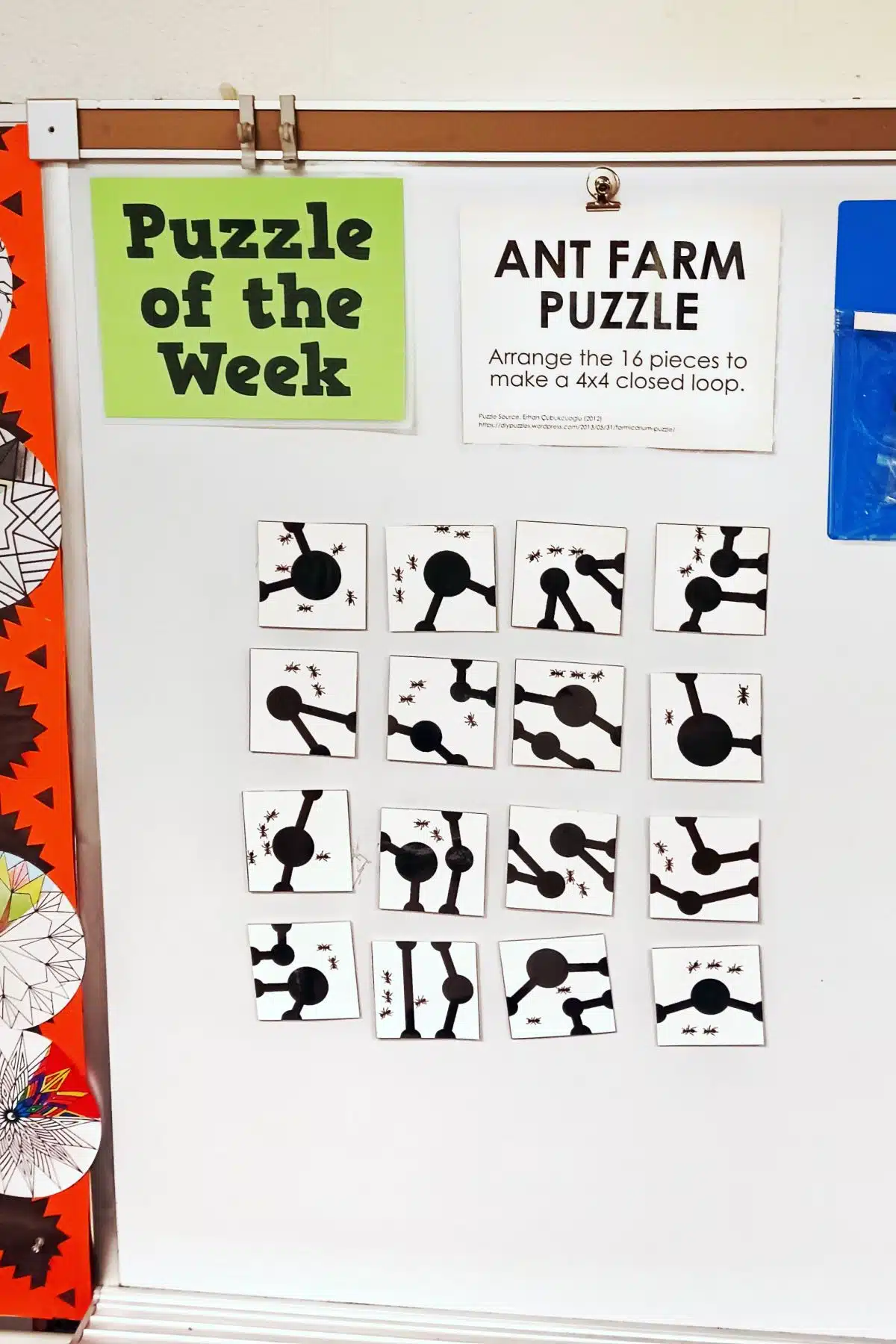 ant farm puzzle hanging on dry erase board in math classroom 