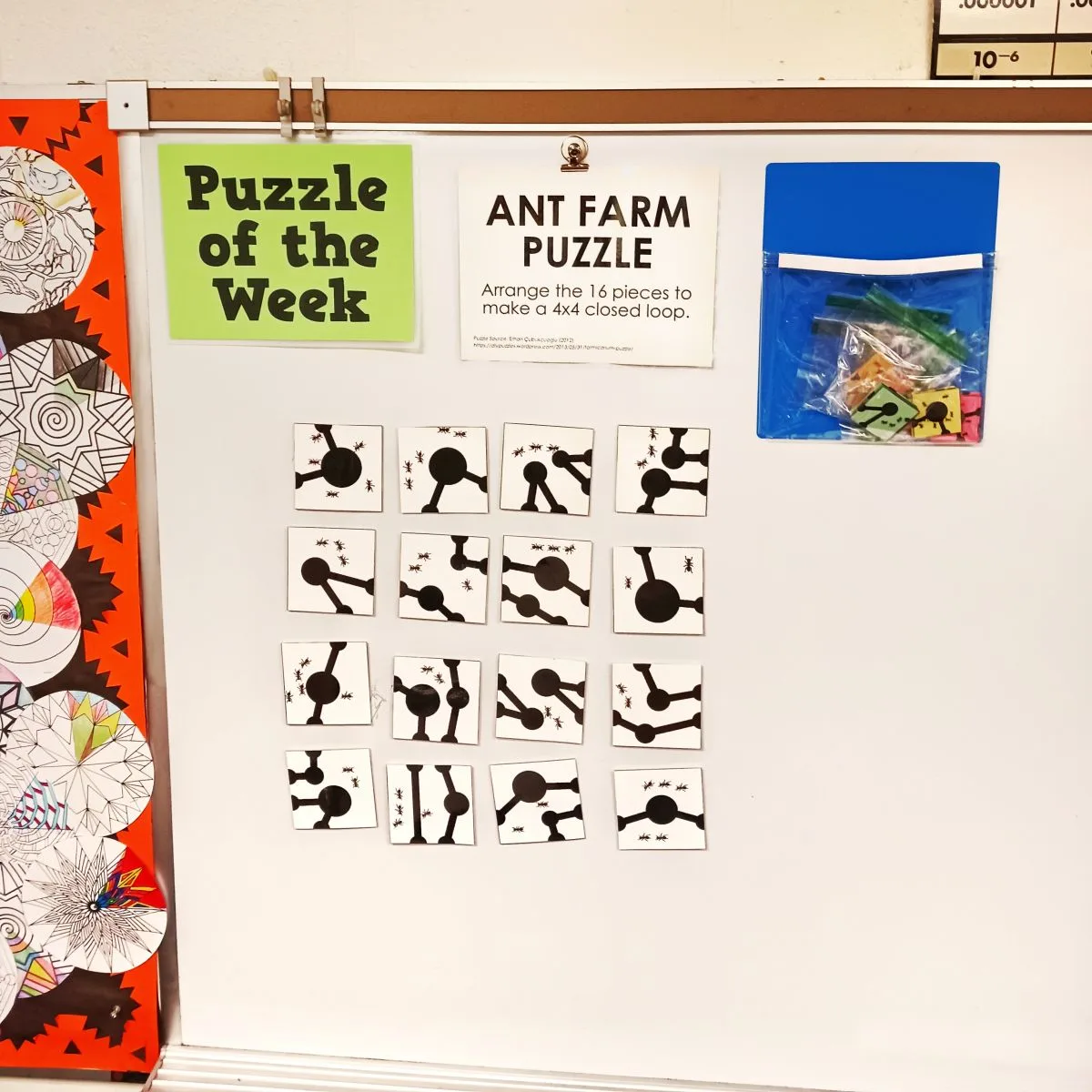ant farm puzzle hanging on dry erase board in classroom next to sign which reads "puzzle of the week" 