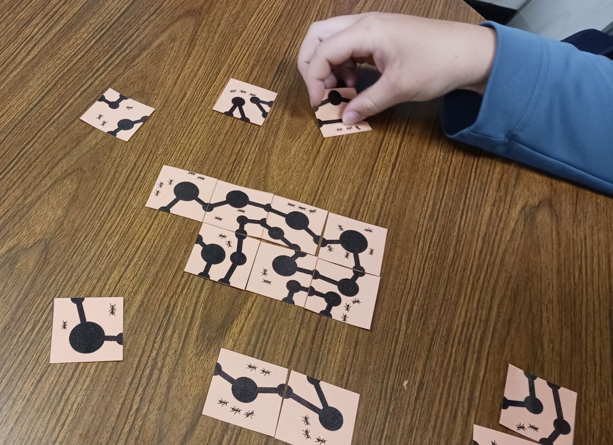 siswa mencoba untuk memecahkan teka-teki peternakan semut 