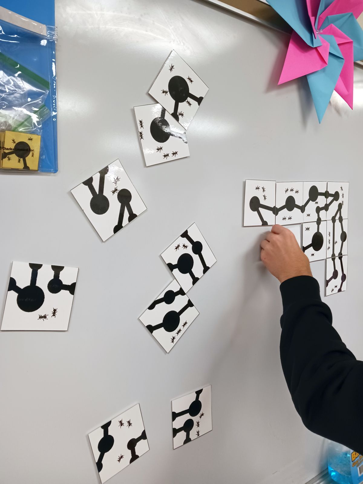 siswa mencoba memecahkan teka-teki peternakan semut di papan penghapus kering 
