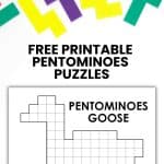 goose pentominoes puzzle.