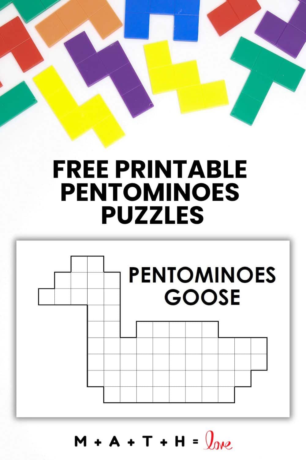 Pentominoes Puzzles | Math = Love