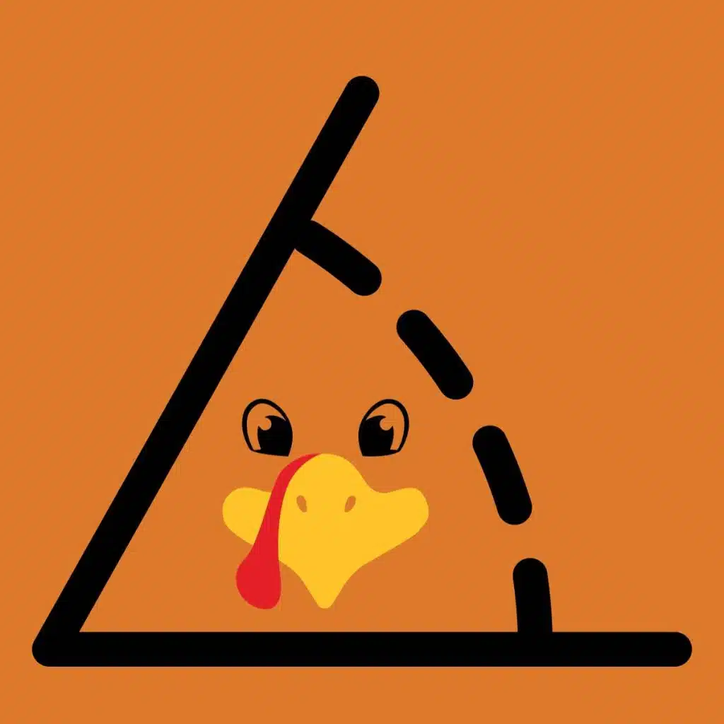 turkey face inside geometric angle 