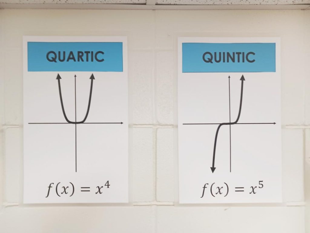 parent function posters: quartic and quintic. 