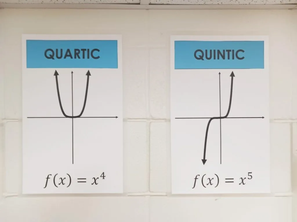 parent function posters: quartic and quintic. 