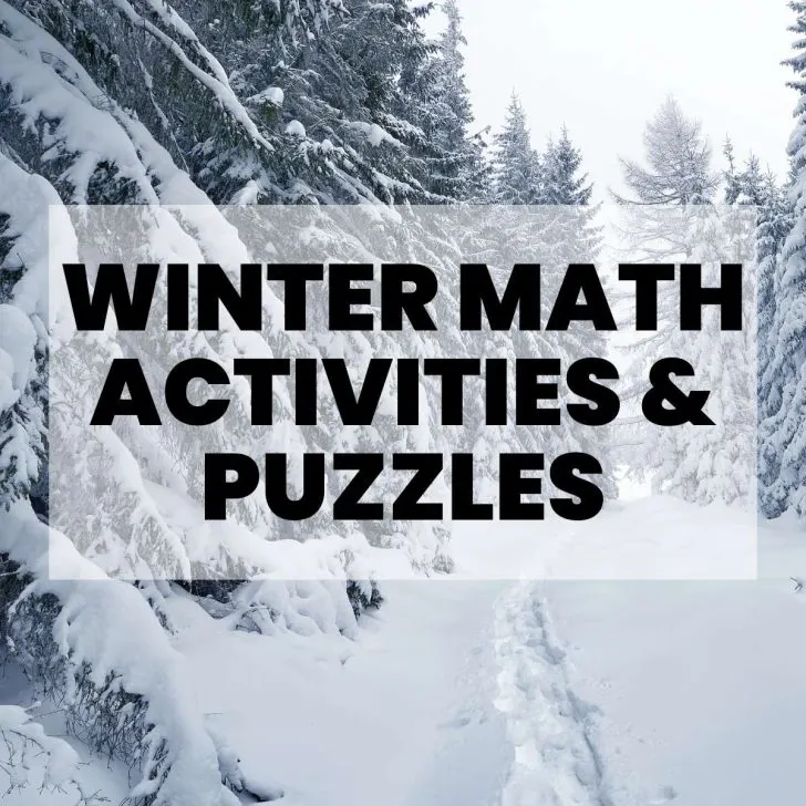 snowscape picture with text "winter math activities and puzzles"