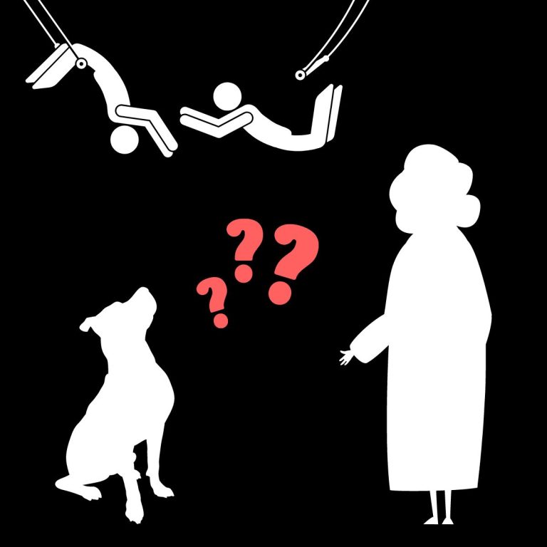 silhouettes of acrobats, dog, and grandma.