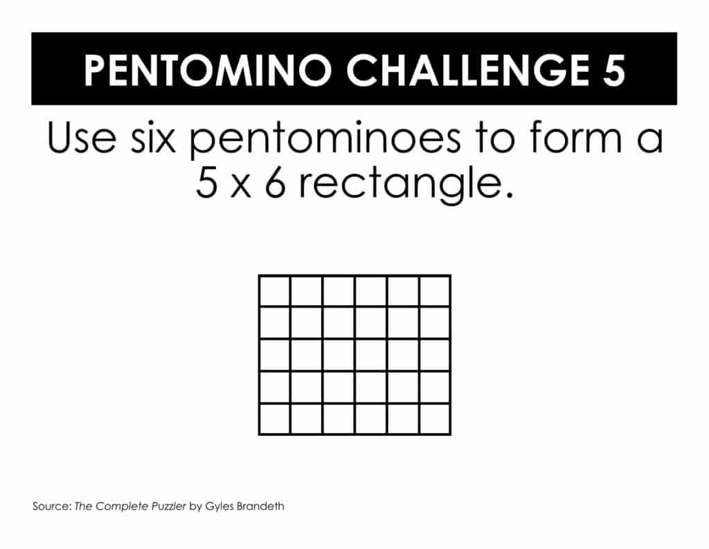 pentomino puzzle 5x6 rectangle