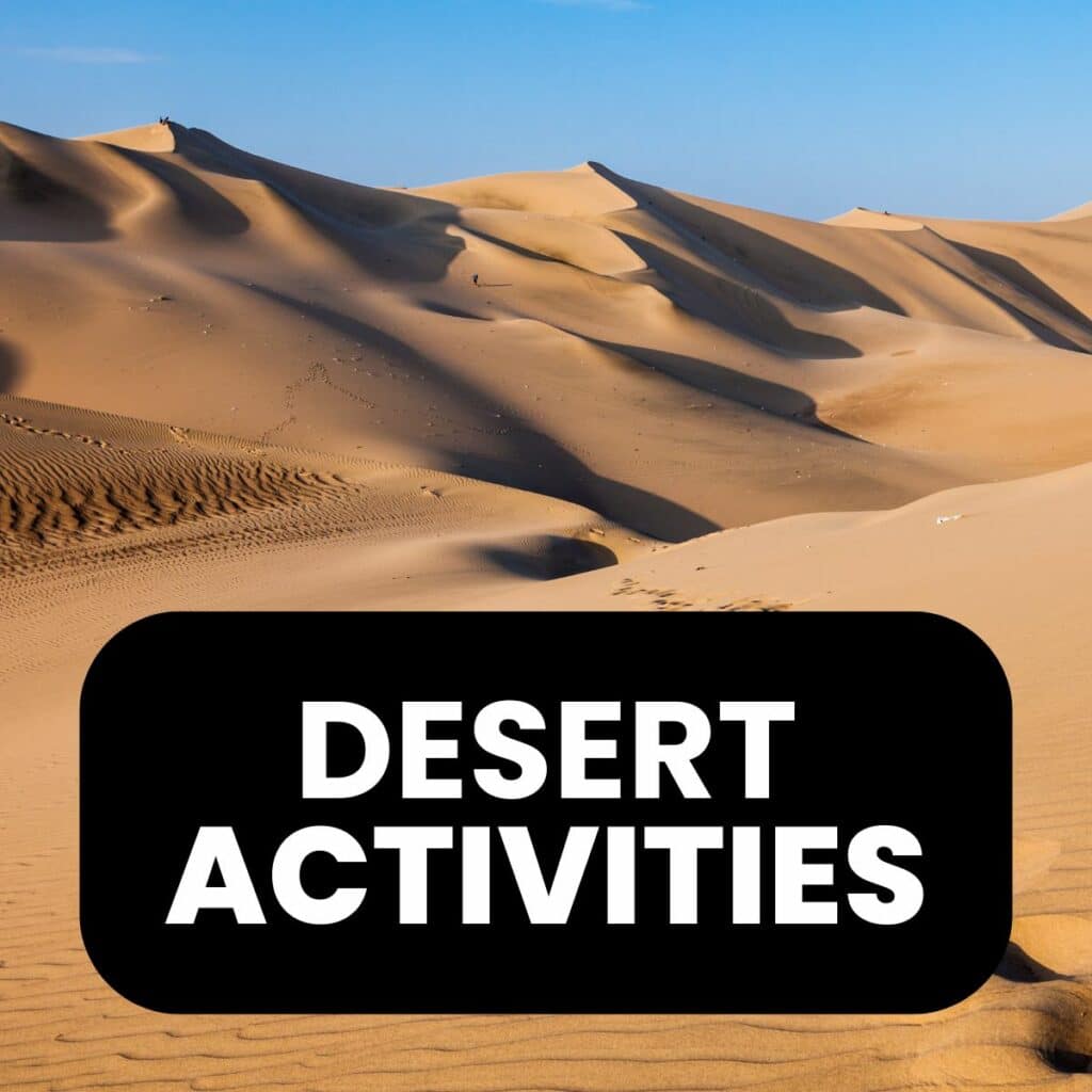 Desert-themed puzzles and activities for the classroom. 