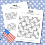 Flag Area Division Logic Puzzles