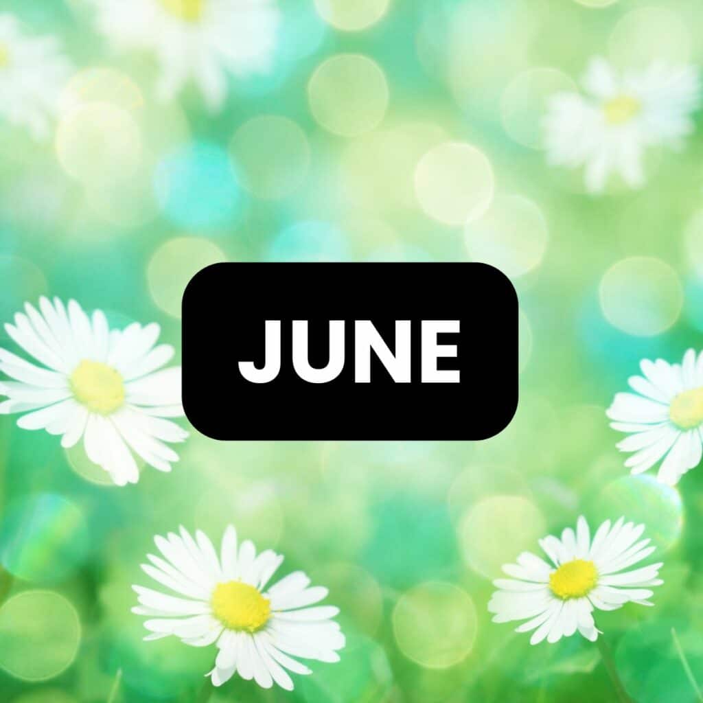 puzzles and activities for the classroom for the month of june. 