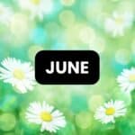 puzzles and activities for the classroom for the month of june.