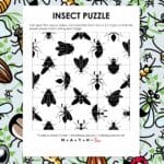 insects square edge matching puzzle.