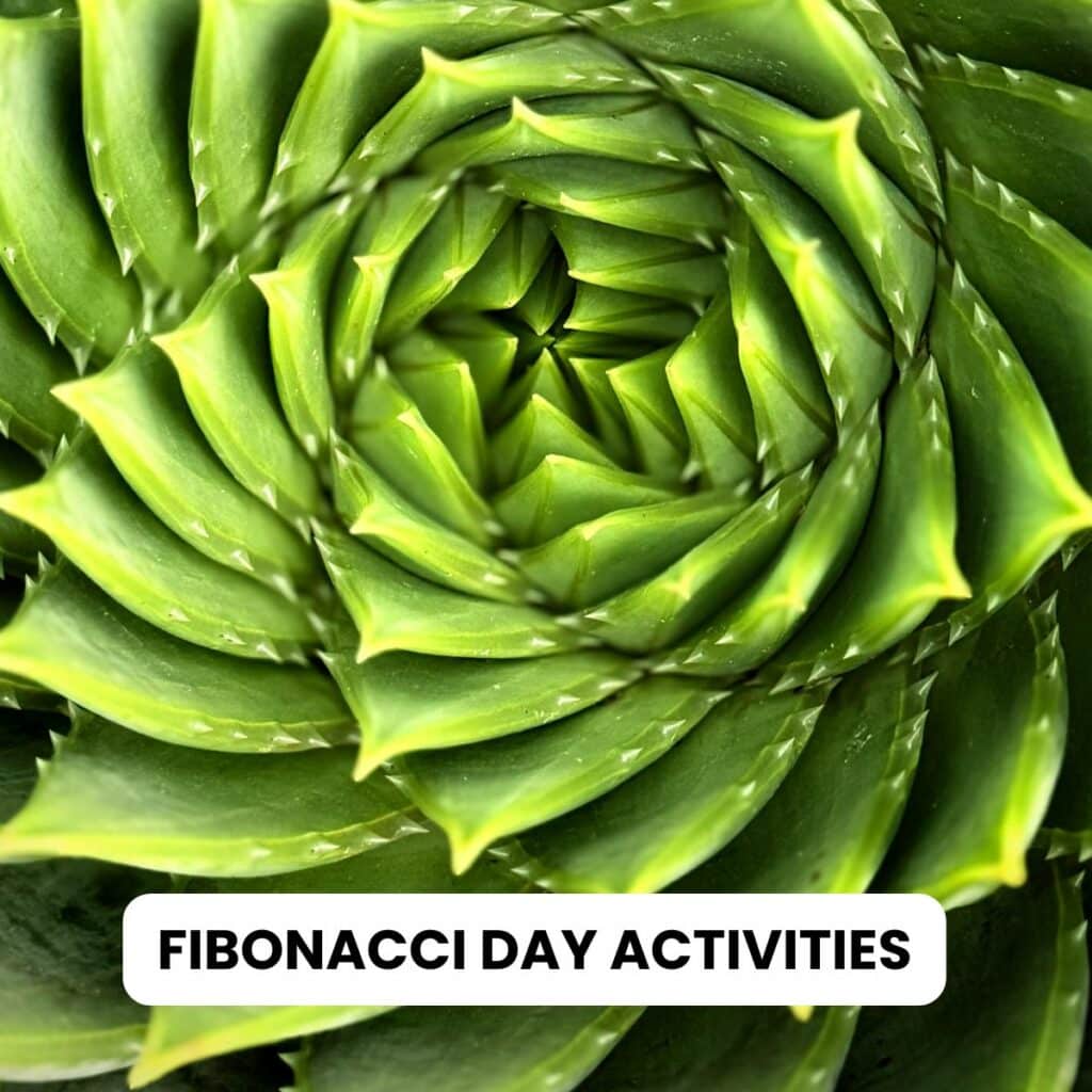 fibonacci day activities for the classroom.