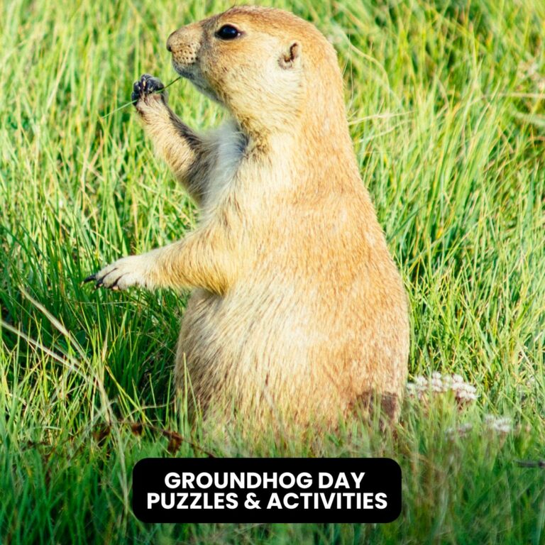 groundhog day logic puzzles and free printable activities.