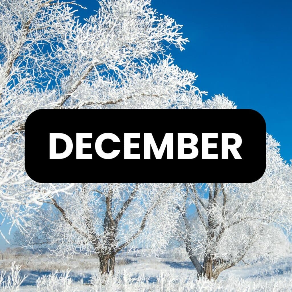 december puzzles, activities, and games for the classroom.