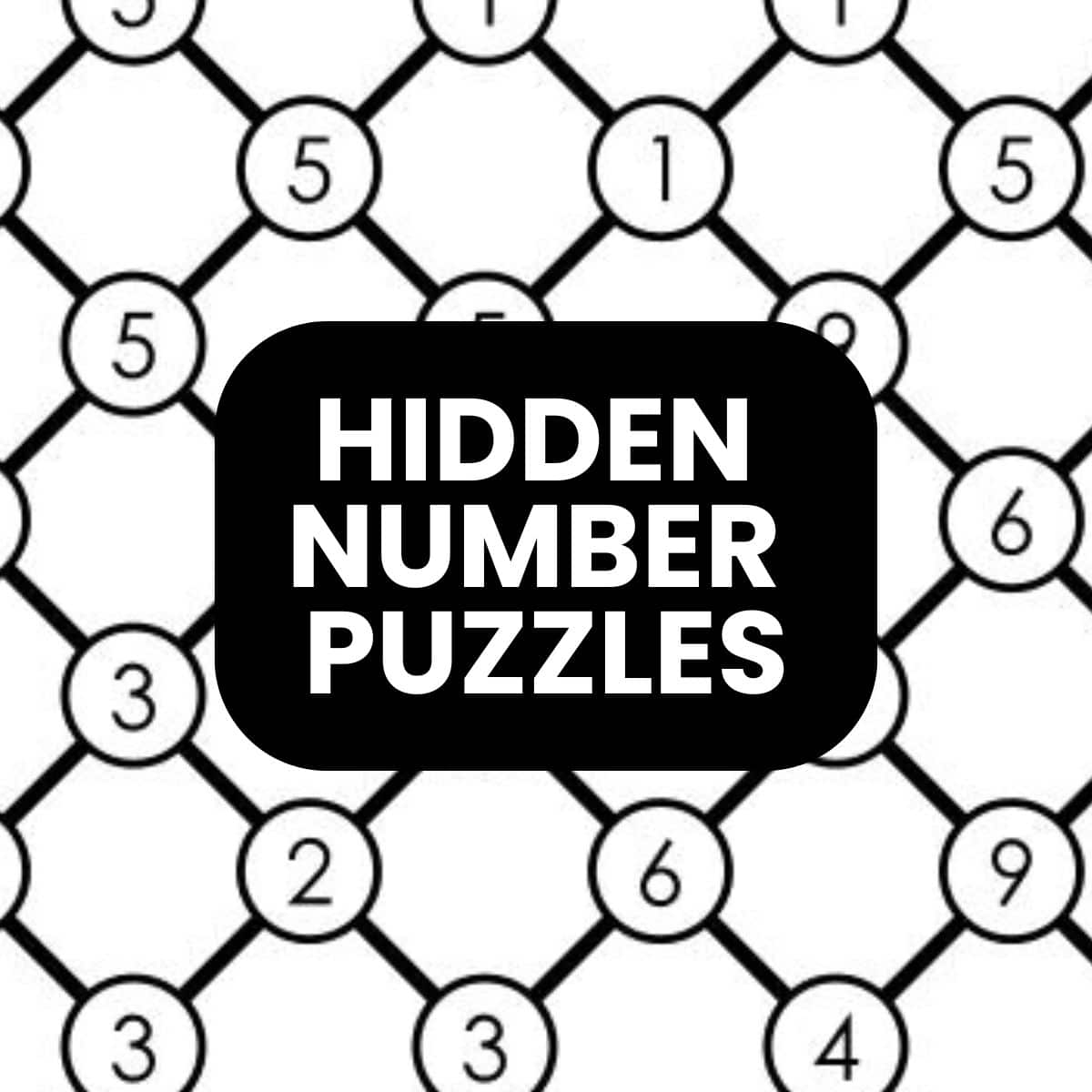 hidden number puzzles.