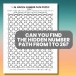 1-26 hidden number path puzzle for new years 2026.